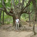  ,   Alex, 52 ,   ,   , c 