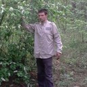 ���������� ��������, ���� ������� ������, 31 ���, ������������ ��� ������, ����� � ���������, c�������� ���������