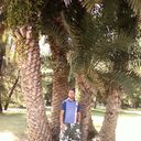  ,   , 41 ,   ,   , c 