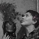 ���������� �����-���������, ���� ������� ����, 46 ���, ������������ ��� ������, ����� � ���������