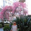 ���������� Malaga, ���� ������� �����, 58 ���, ������������ ��� ����� � ���������, c�������� ���������