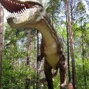 ���������� ������������, ���� ������� �����, 30 ���, ������������ ��� ����� � ���������, c�������� ���������