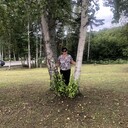  ,   , 51 ,     , c , 