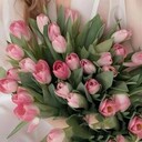  ,   , 28 ,     , c 
