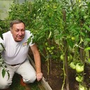 ���������� �����-���������, ���� ������� �������, 66 ���, ������������ ��� ������, ����� � ���������