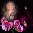  ,   , 68 ,     , 