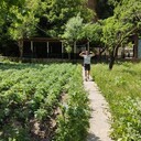 ���������� �����������, ���� ������� �����������, 35 ���, ������������ ��� ����� � ���������, ���������