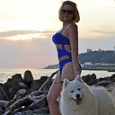 ���������� ����, ���� ������� ����, 43 ����, ������������ ��� ����� � ���������, c�������� ���������