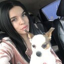  ,   , 26 ,  