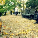 ���������� ���������� �����, ���� ������� ������, 40 ���, ������������ ��� ����� � ���������, c�������� ���������