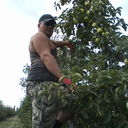  ,   , 50 ,   ,   , c 