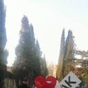 ���������� �����������, ���� ������� ������, 38 ���, ������������ ��� ����� � ���������, c�������� ���������