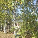 ,   , 64 ,   