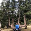 ���������� ������, ���� ������� ���������, 53 ����, ������������ ��� ����� � ���������, c�������� ���������