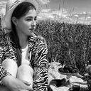 ���������� ������, ���� ������� ���������, 22 ����, ������������ ��� ������, ����� � ���������