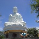  ,   , 51 ,     , c 