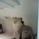 ���������� ������, ���� ������� �����, 52 ����, ������������ ��� ������, ����� � ���������, ���������