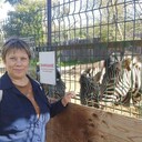 ���������� �����������, ���� ������� �������, 51 ���, ������������ ��� ������, ����� � ���������