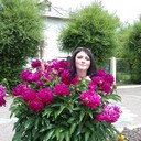  -,   , 45 ,   ,   , c , 