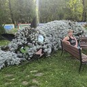  ,   , 49 ,   c 