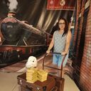 ���������� ���������, ���� ������� �������, 51 ���, ������������ ��� ������, ����� � ���������, c�������� ���������