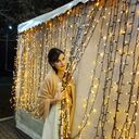 ���������� ������, ���� ������� ��������, 33 ����, ������������ ��� ������, ����� � ���������