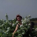  ,   , 53 ,   c , 