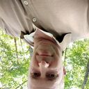 ���������� ����, ���� ������� ������, 44 ����, ������������ ��� ������, ����� � ���������, c�������� ���������, ���������