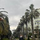 ���������� ������, ���� ������� �����, 51 ���, ������������ ��� ������, ����� � ���������, c�������� ���������