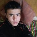  ,   Sevgibu, 31 ,   ,   , c 
