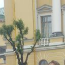  -,   , 33 ,   ,   , c 