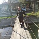  ,   , 51 ,   ,   