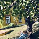  ,   Dima, 44 ,   ,   , c , 