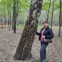  ,   Nata, 50 ,     , c , 