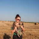 ���������� ����, ���� ������� ����, 41 ���, ������������ ��� ����� � ���������, c�������� ���������