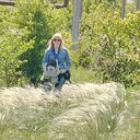 ���������� �������, ���� ������� �������, 52 ����, ������������ ��� ������, ����� � ���������