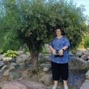 ���������� ������, ���� ������� ���������, 44 ����, ������������ ��� c�������� ���������, ���������