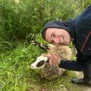 ���������� �������, ���� ������� ������, 31 ���, ������������ ��� ������, ����� � ���������