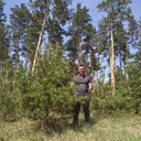 ���������� �����������, ���� ������� ����, 39 ���, ������������ ��� ������, ����� � ���������, c�������� ���������