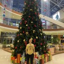 ���������� �����-���������, ���� ������� ��������, 26 ���, ������������ ��� ������, ����� � ���������, c�������� ���������