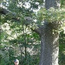 ���������� ������, ���� ������� ������, 64 ����, ������������ ��� ������, ����� � ���������, c�������� ���������