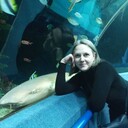 ���������� �����-���������, ���� ������� ���������, 40 ���, ������������ ��� ����� � ���������, c�������� ���������