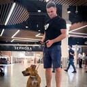  -,   , 37 ,   ,   , c 