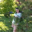 ���������� ������ ��������, ���� ������� �������, 44 ����, ������������ ��� ������, ����� � ���������, c�������� ���������