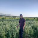  ,   Alik, 35 ,   ,   