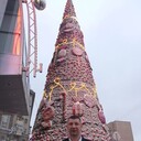 ���������� ������, ���� ������� ������, 43 ����, ������������ ��� ������, ����� � ���������