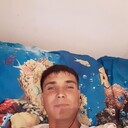 ���������� �����������, ���� ������� �������, 38 ���, ������������ ��� ������, ����� � ���������, c�������� ���������