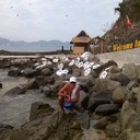  ,   , 50 ,   ,   , c 