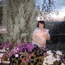 ���������� ���������, ���� ������� �������, 49 ���, ������������ ��� ������, ����� � ���������