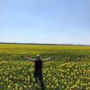 ���������� �����-���������, ���� ������� ����, 50 ���, ������������ ��� ������, ����� � ���������